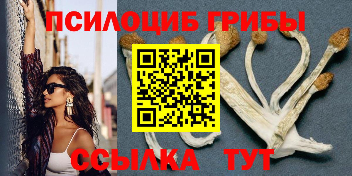 Галлюциногенные грибы MAGIC MUSHROOMS  Вход с VPN  Галлюциногенные грибы Psilocybine cubensis  Алейск 
